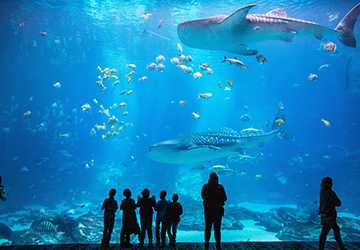Atlanta Travel Guide 2023 – Unveiling What the City Has to Offer